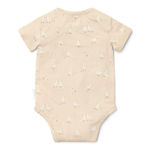 Bodysuit short sleeves Little Goose
