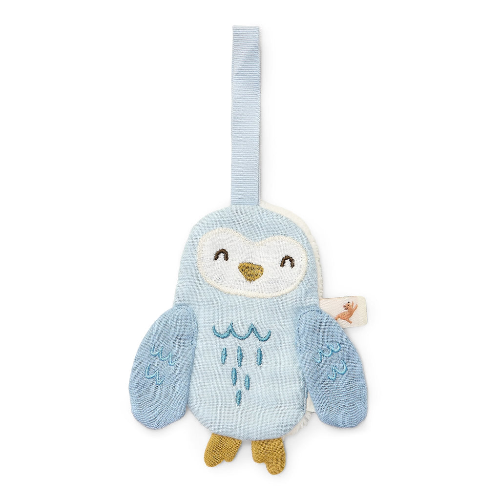 Pacifier cloth - Owl