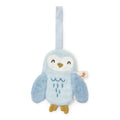Pacifier cloth - Owl